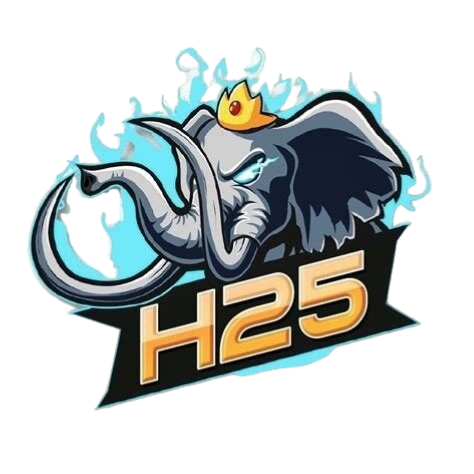 h25ff logo